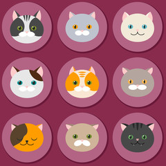Cat. Set of flat feline head icons. Vector.