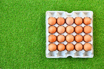 Twenty eggs in tray close-up. Top view.