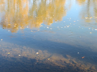 Autumn Reflection on Water
