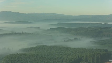 Industrial Pollution