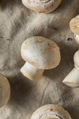 Raw Organic White Button Mushrooms