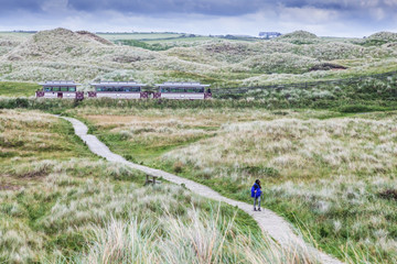 Gaint's Causeway and Bushmills Railway Carriages in Sand Dunes - obrazy, fototapety, plakaty