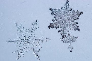 Beautiful snow flake on a light blue background close up