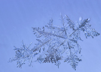 Beautiful snow flake on a light blue background close up