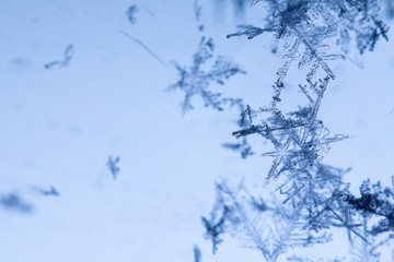 Beautiful snow flake on a light blue background close up