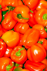 background - red paprika, sweet bell peppers