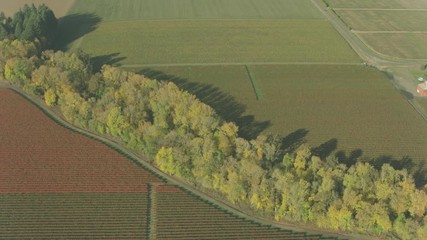 Oregon Wine Farm Country Aerial