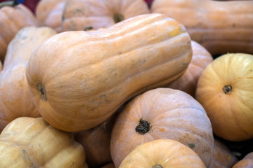 Fresh pumpkin on display in the grocery store