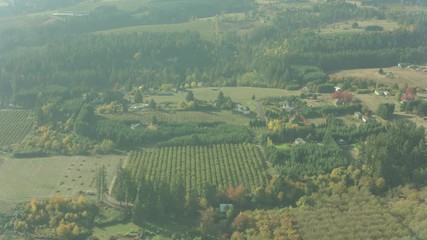 Oregon Wine Farm Country Aerial