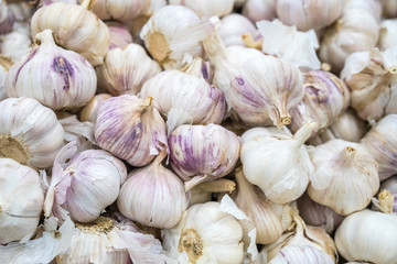 White garlic pile texture. Fresh garlic on market table closeup photo