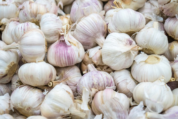 White garlic pile texture. Fresh garlic on market table closeup photo