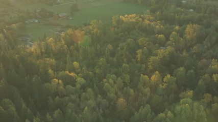Oregon Wine Farm Country Aerial