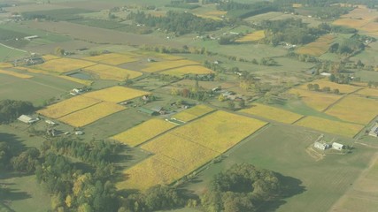 Oregon Wine Farm Country Aerial
