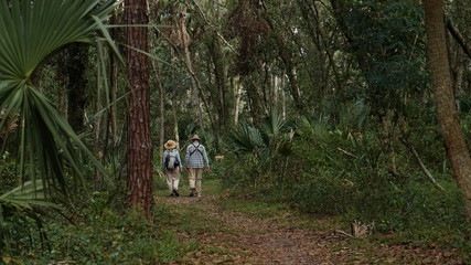 Obraz na płótnie Canvas couple walking in forest 