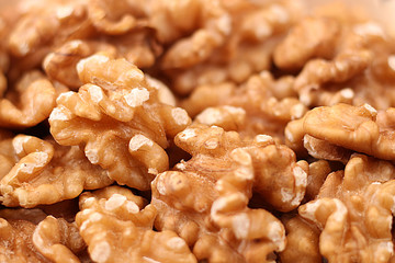 The brains of the walnut