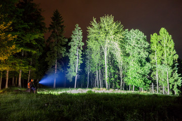 Man pointing flashlight to forest at night.  - obrazy, fototapety, plakaty