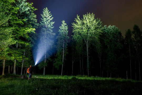 Man searching with flashlight in forest