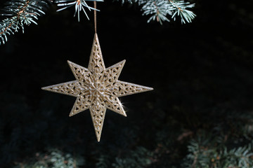 Fototapeta na wymiar Decoration on Christmas tree - gold shining star on blue spruce