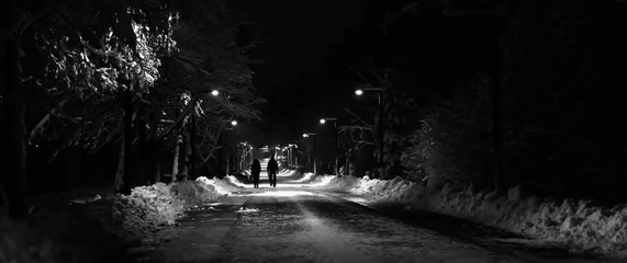 the people walking on the night street