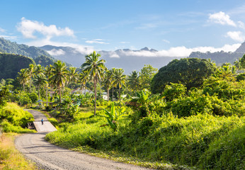 Fototapeta na wymiar Volcanic hills, mountains, valleys, volcano mouth of beautiful green lush Ovalau island overgrown with palms, lost in jungle, covered with clouds, home of Levuka town. Fiji, Melanesia, Oceania