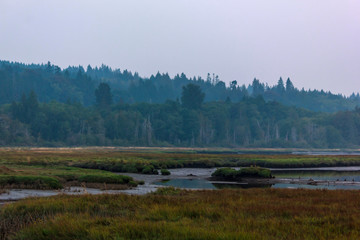 evening over wetland with hazy skys over forest
