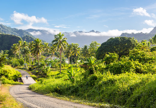 Volcanic hills, mountains, valleys, volcano mouth of beautiful green lush Ovalau island overgrown with palms, lost in jungle, covered with clouds, home of Levuka town. Fiji, Melanesia, Oceania