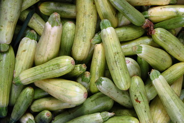 Zucchinis for sale in a greengrocery