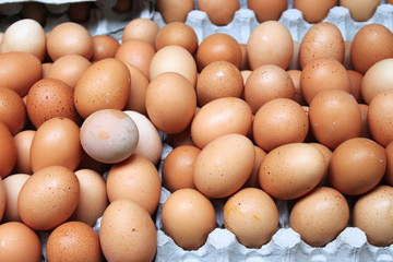 Brown eggs