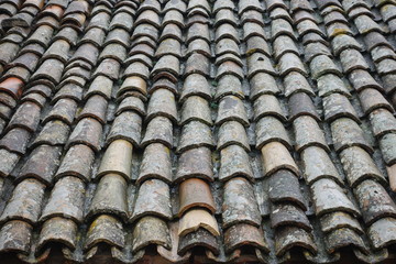 Rustic roof tiles with lichens and moss in Italy
