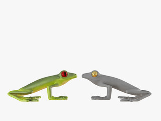 Green and gray frog look at each other on a white background 3d rendering