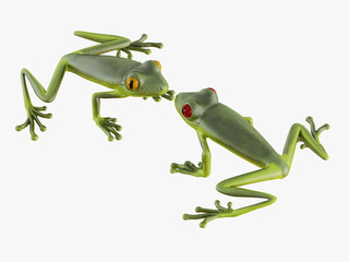 Two frogs look at each other on white background 3d rendering