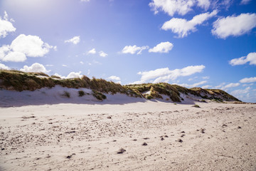 Dunes at the beach of Amrum Germany.