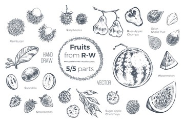 Fruits hand drawn sketch icons set. Organic food