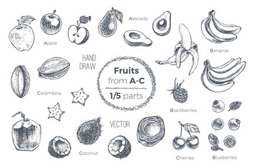 Fruits hand drawn sketch icons set. Organic food