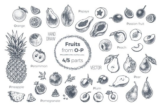 Fruits hand drawn sketch icons set. Organic food