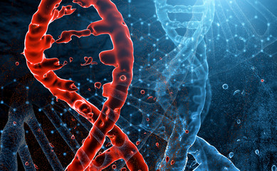 red and blue models of DNA molecules intersect in space. The decay of red DNA, the concept of virus and lesion.