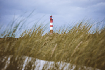 Lighthouse seen through sea grass of dunes in Amrum Germany.