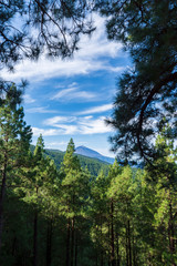 Teide national park Tenerife