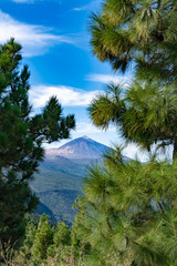 Fototapeta na wymiar Teide national park Tenerife