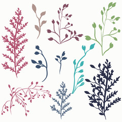 Set of vector rustic plants for design