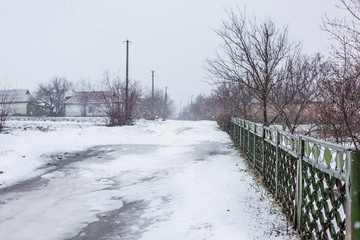 Naklejka premium Frozen tree branches covered with white scaly ice.