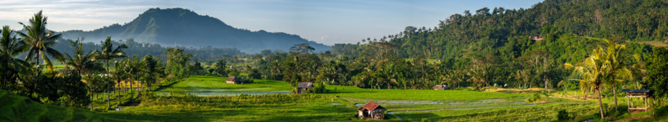 Farming the rice terraces in the Village of Sidemen, Bali. Eastern Bali boasts some of the most...