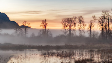 Sunrise behind the fog at Pitt-Addington Marsh.