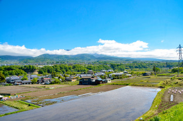 田植えの準備