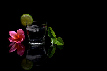Fresh Cocktail Drinks