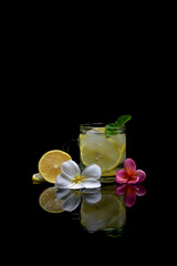 Fresh Cocktail Drinks