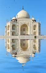 Fototapeta na wymiar The magnificent Taj Mahal reflected in the water