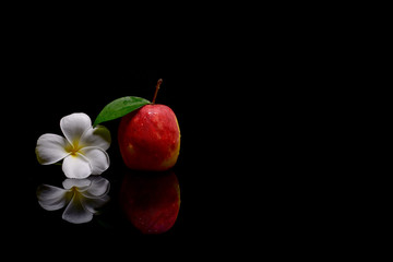  Fruit Apples in shadow