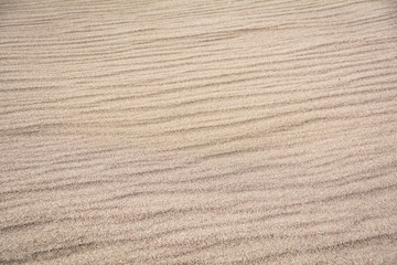 Fototapeta na wymiar Great Sand Dunes National Park Colorado Sand Texture Foot Prints