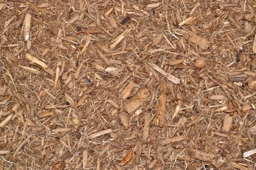 Wood chip mulch scattered thickly in a landscaped garden area.